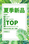 夏季新品