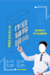 作业辅导