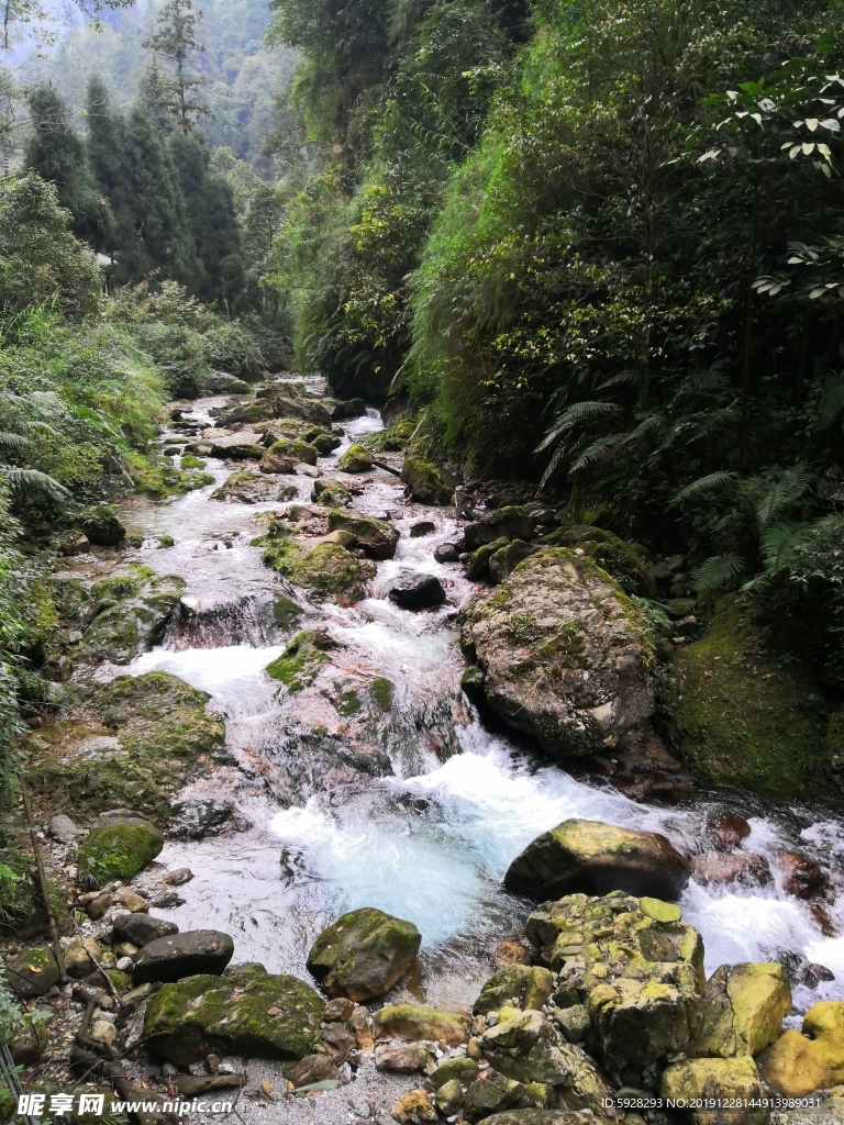 山中溪流