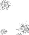 装饰画