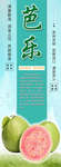芭乐