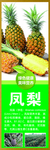 凤梨
