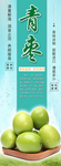 大青枣