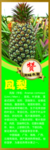菠萝