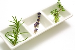 花草茶