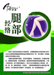 中医养身海报