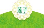 莲子 莲花 莲蓬