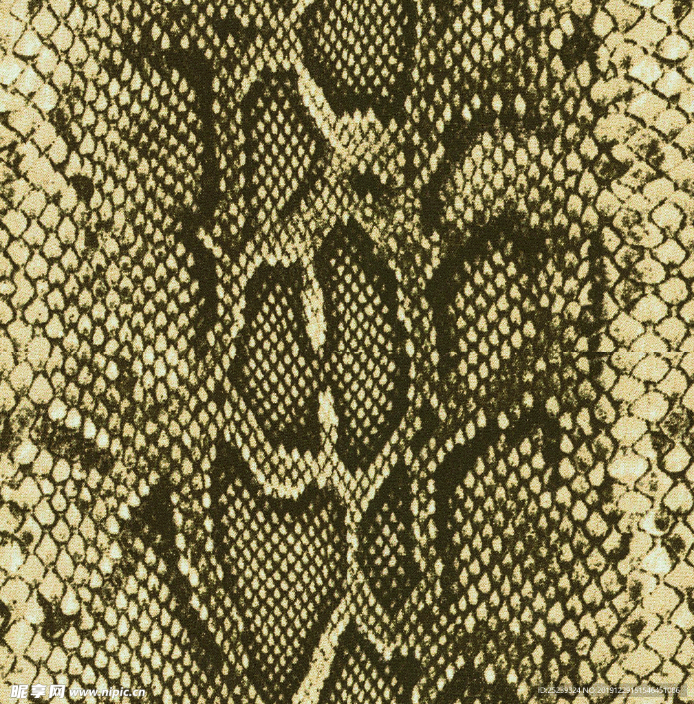 豹纹