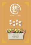 花海报