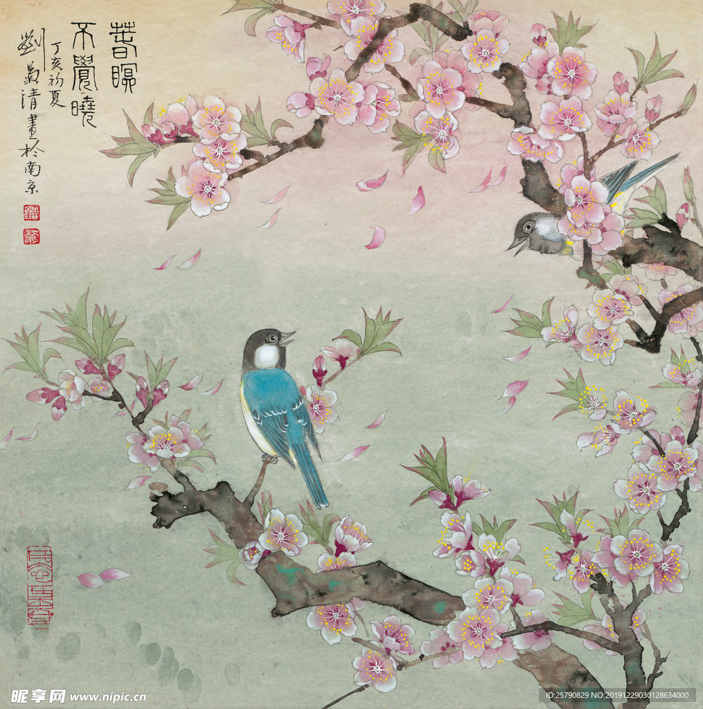 国画花鸟