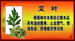 艾叶