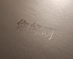 样机