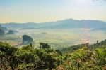山