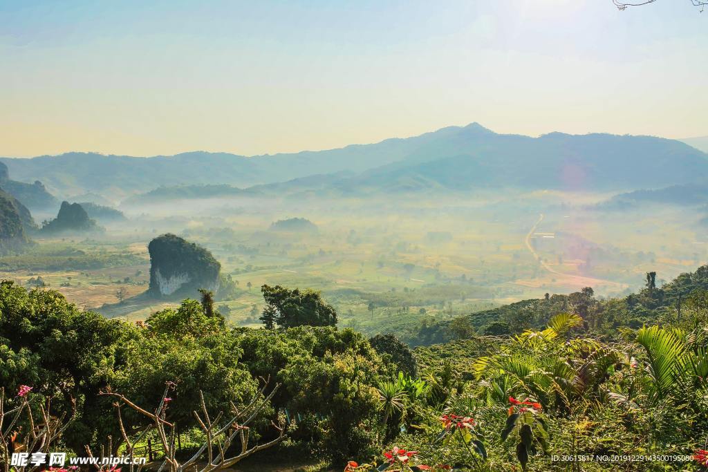山
