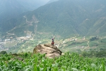山