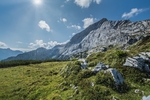 山