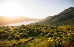 山