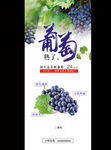 农家乐葡萄采摘展架
