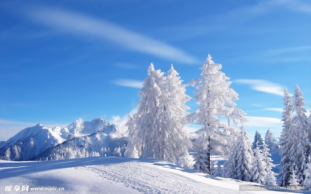 冰山雪地