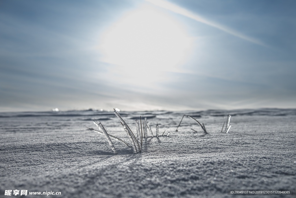 雪地