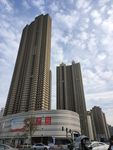 城市