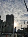 城市