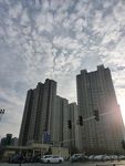 城市