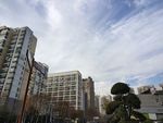 城市