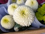 鲜花