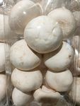 蘑菇
