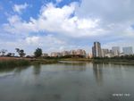 风景