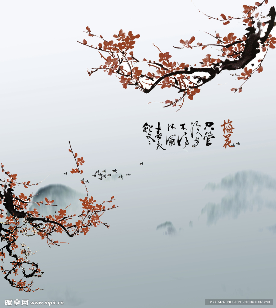 挂轴 写真 装饰