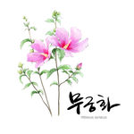鲜花