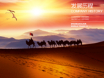 沙漠骆驼