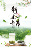 新茶上市