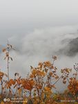 秋景