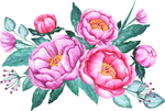 手绘鲜花