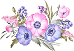 手绘鲜花