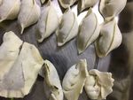食品食物