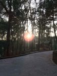 自然美景