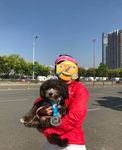 小狗狗