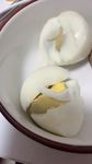 食品食物