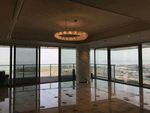 室内景观