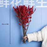 花朵花卉