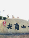 小狗狗