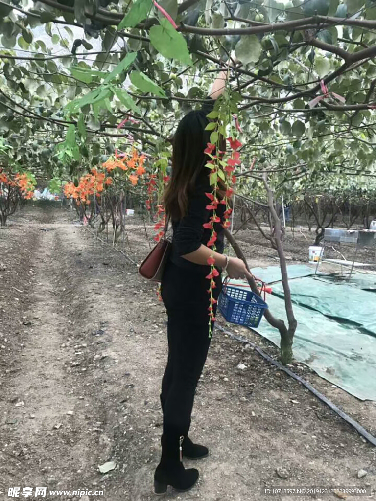 自然美景