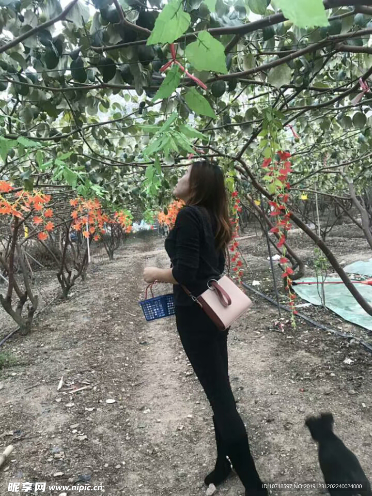 自然美景