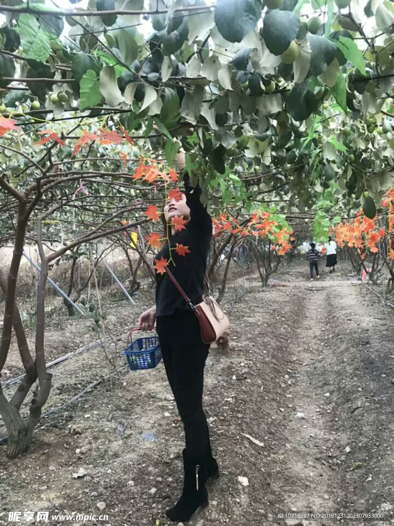 自然美景
