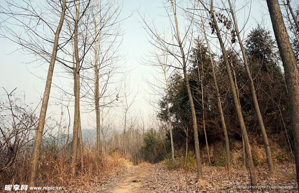 自然美景