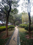 户外景观